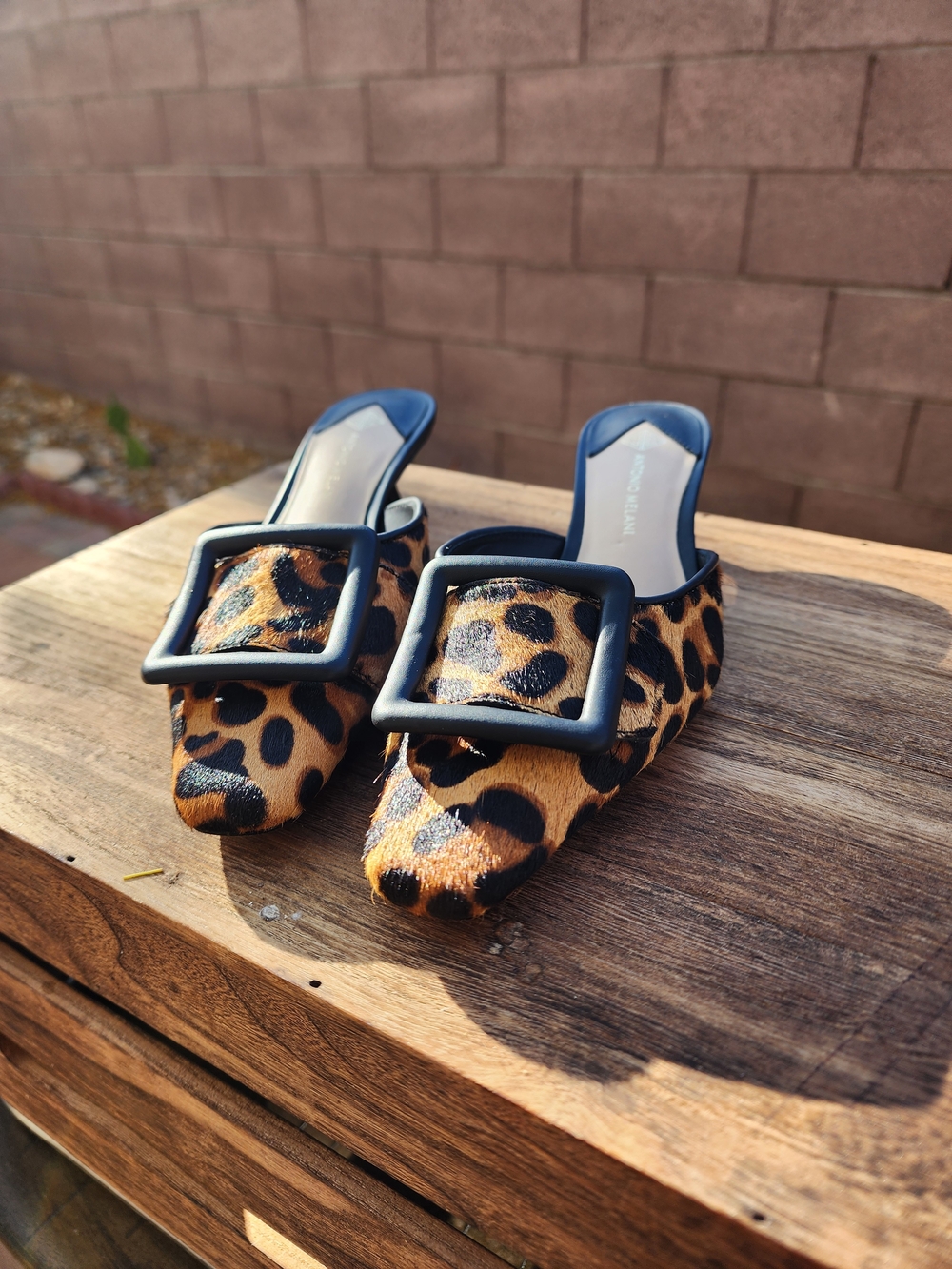 Antonio Melani Kendra Leopard Print Haircalf Buckle Ornament Dress Mules Size 6 - Picture 8 of 8